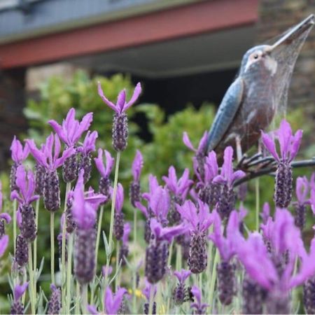Maymorn Orchard Suites Upper Hutt Extérieur photo