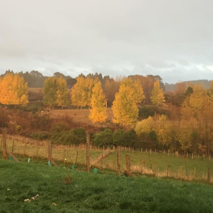 Maymorn Orchard Suites Upper Hutt Extérieur photo