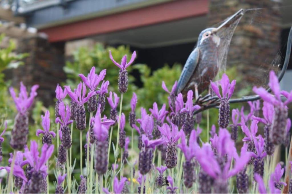 Maymorn Orchard Suites Upper Hutt Extérieur photo