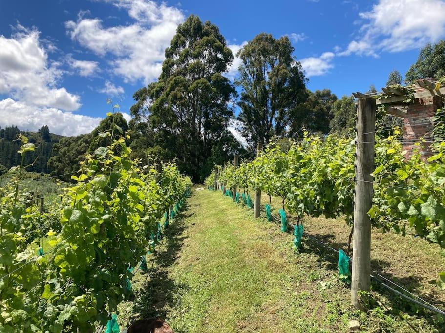 Maymorn Orchard Suites Upper Hutt Extérieur photo