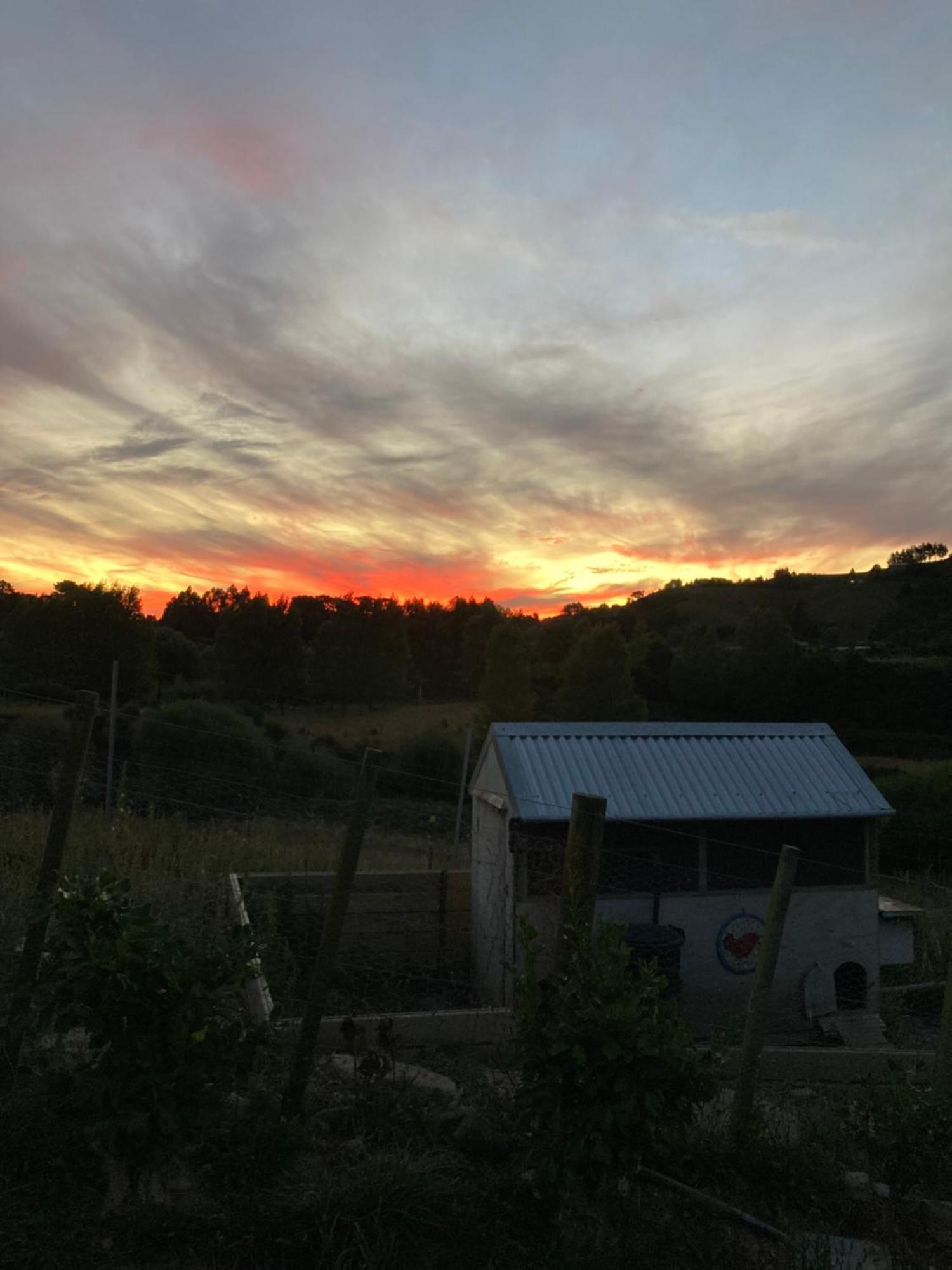 Maymorn Orchard Suites Upper Hutt Extérieur photo